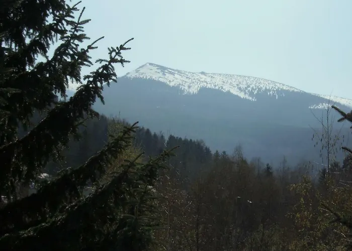 Апартаменты Mysliwski Карпач