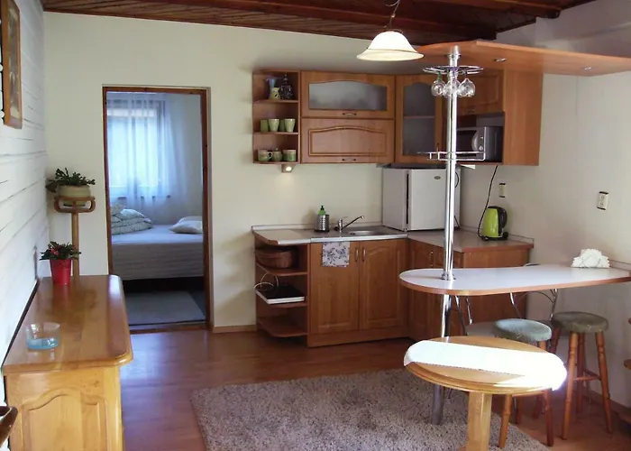 公寓 狩猎小屋公寓 *